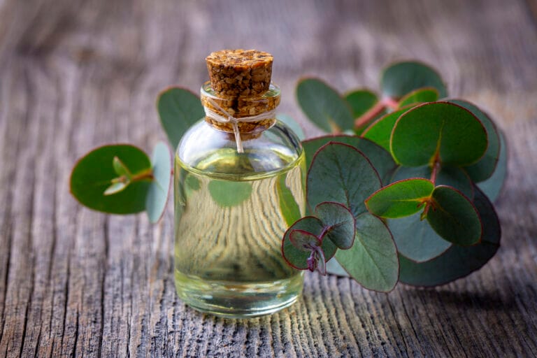 The power of essential oils: Relaxation at home for well-being